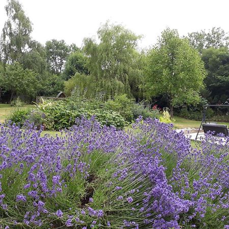 Stoneleigh Barn Bed And Breakfast Sherborne  Buitenkant foto